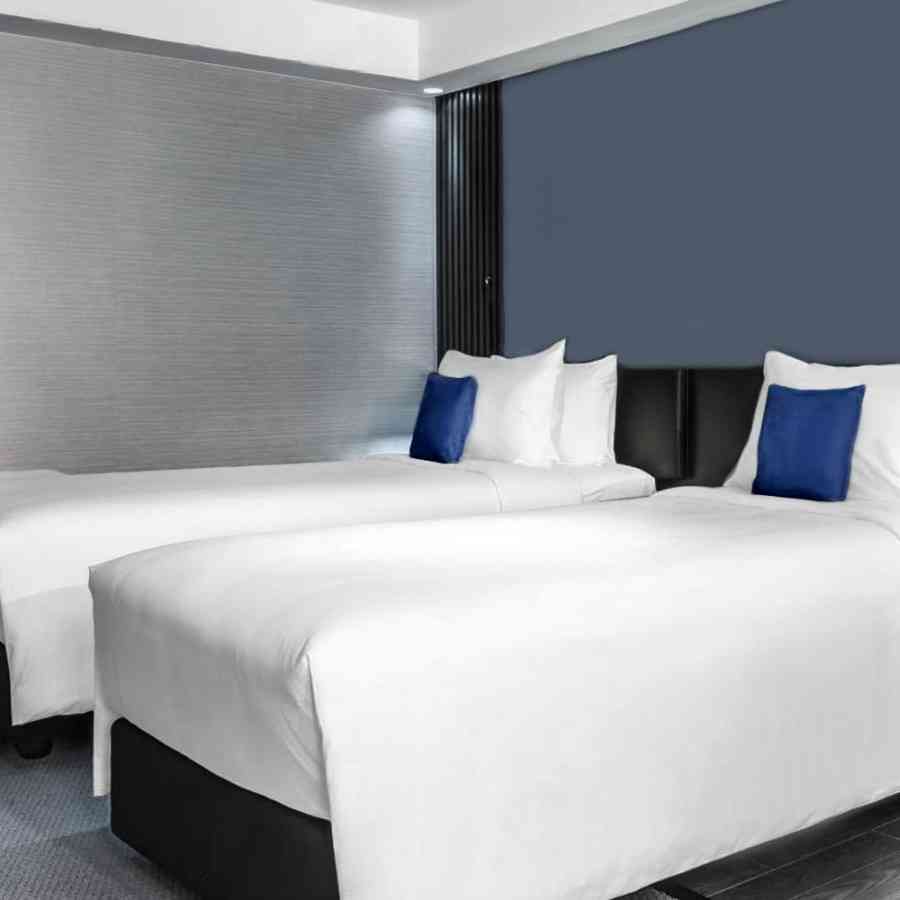Cearceaf pat Single Cotton Hardy 160x280 cm