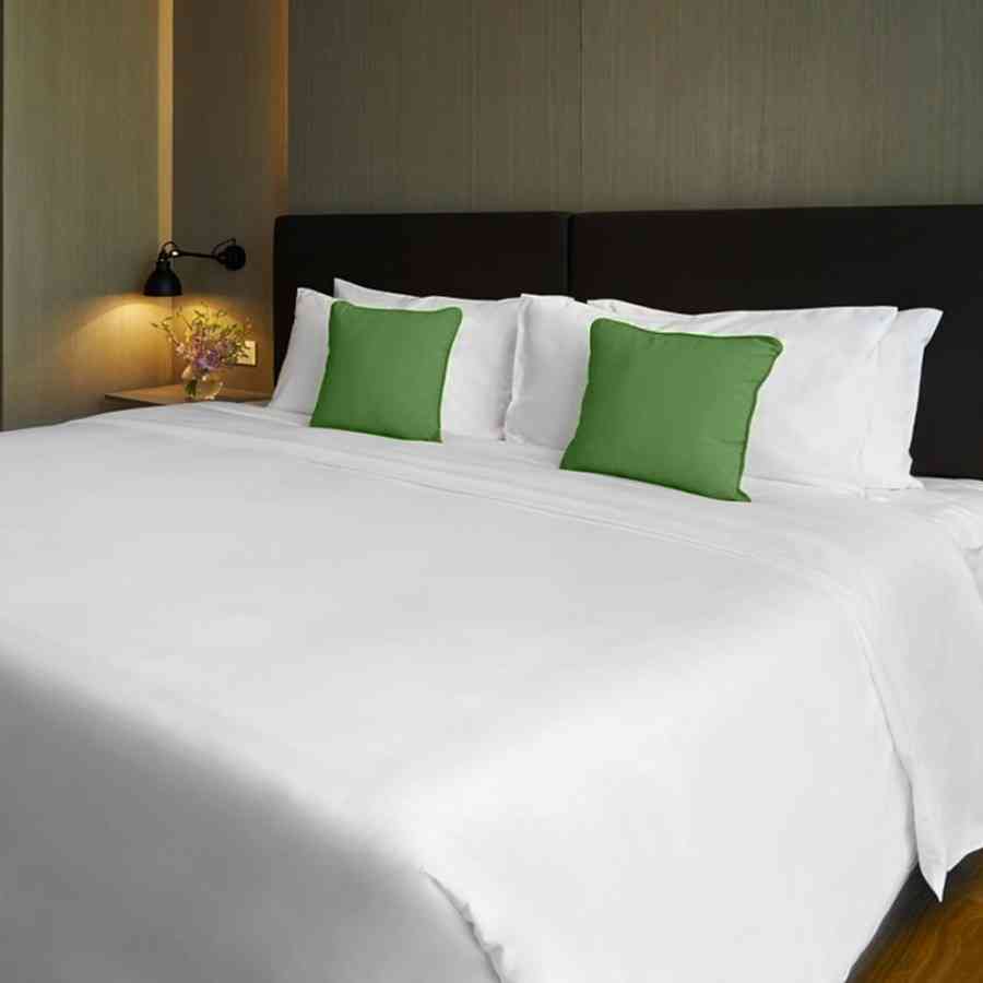 Lenjerie pat Double Satin 100%Bumbac, Plain Elina