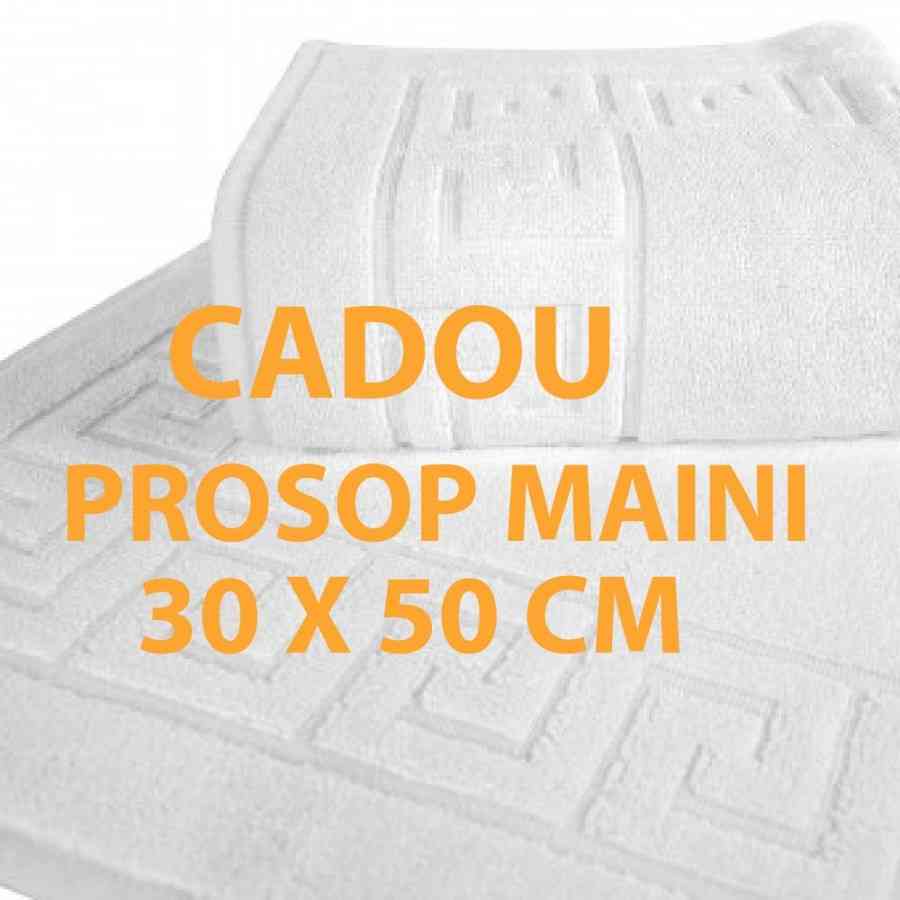 Set  2 Prosoape  si covoras baie model Greek Border